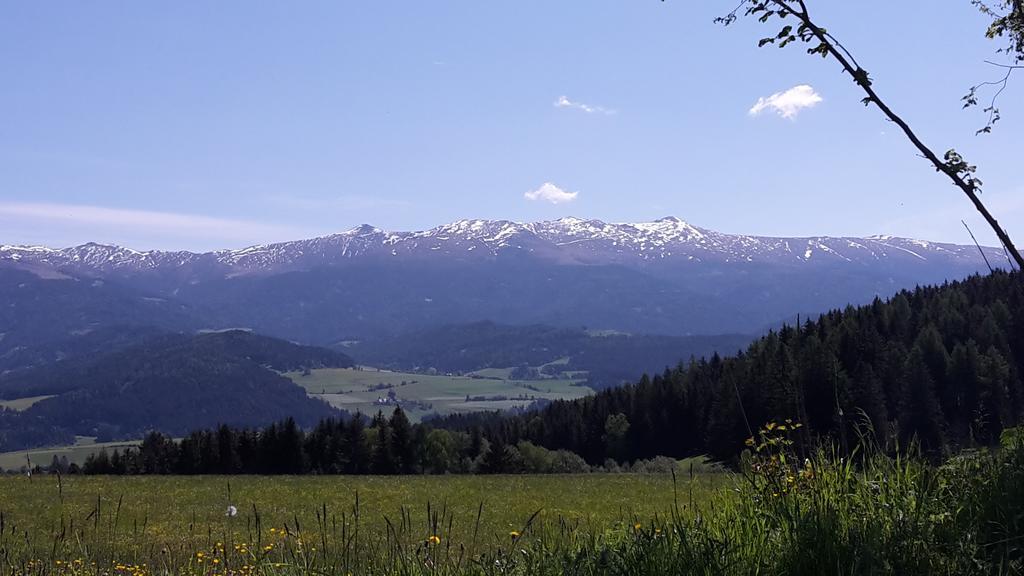 Вілла Biohof Goelly Neumarkt in Steiermark Екстер'єр фото