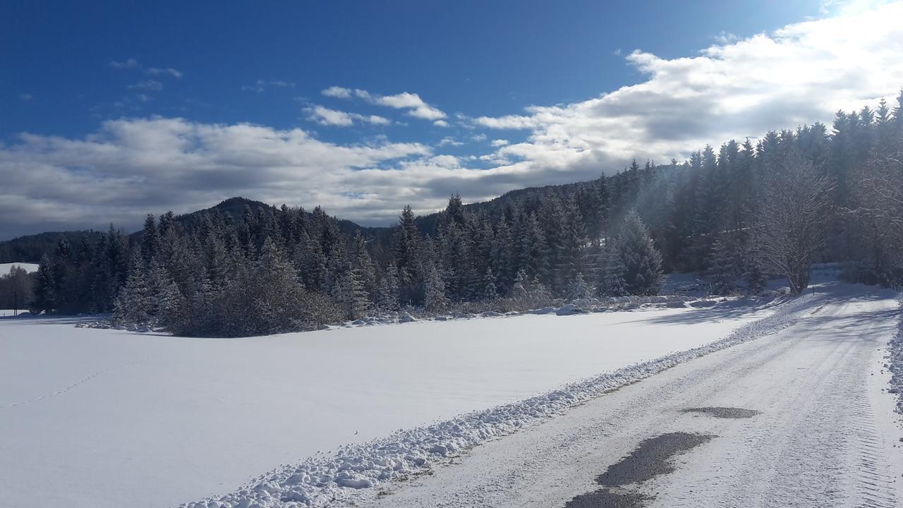Вілла Biohof Goelly Neumarkt in Steiermark Екстер'єр фото